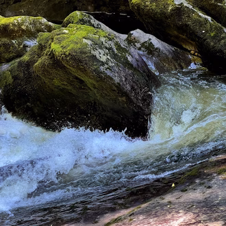 IMG-20240718-WA0032