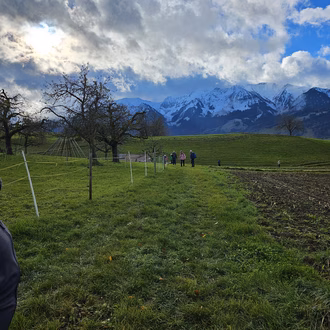 2024-11-20_BURGISTEIN – WATTENWIL – DITTLIGSEE – THUN_1