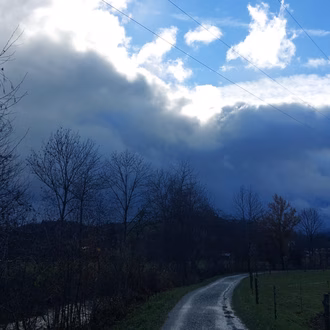 2024-11-20_BURGISTEIN – WATTENWIL – DITTLIGSEE – THUN_5