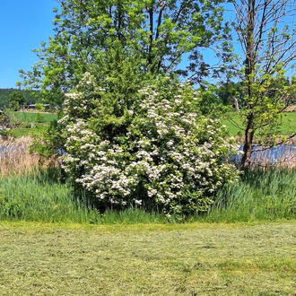 IMG-20250520-WA0010