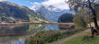 Lenk