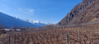 Wanderung_maerz_2026