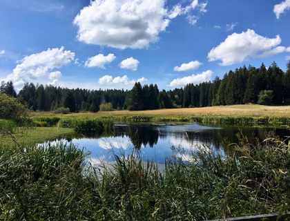 Wechseldornmoos