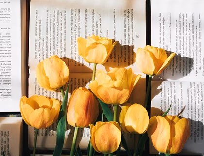 tulips-6255868_1280